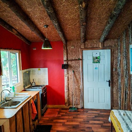 Hostal & Cabanas Luna Del Sur Cucao エクステリア 写真