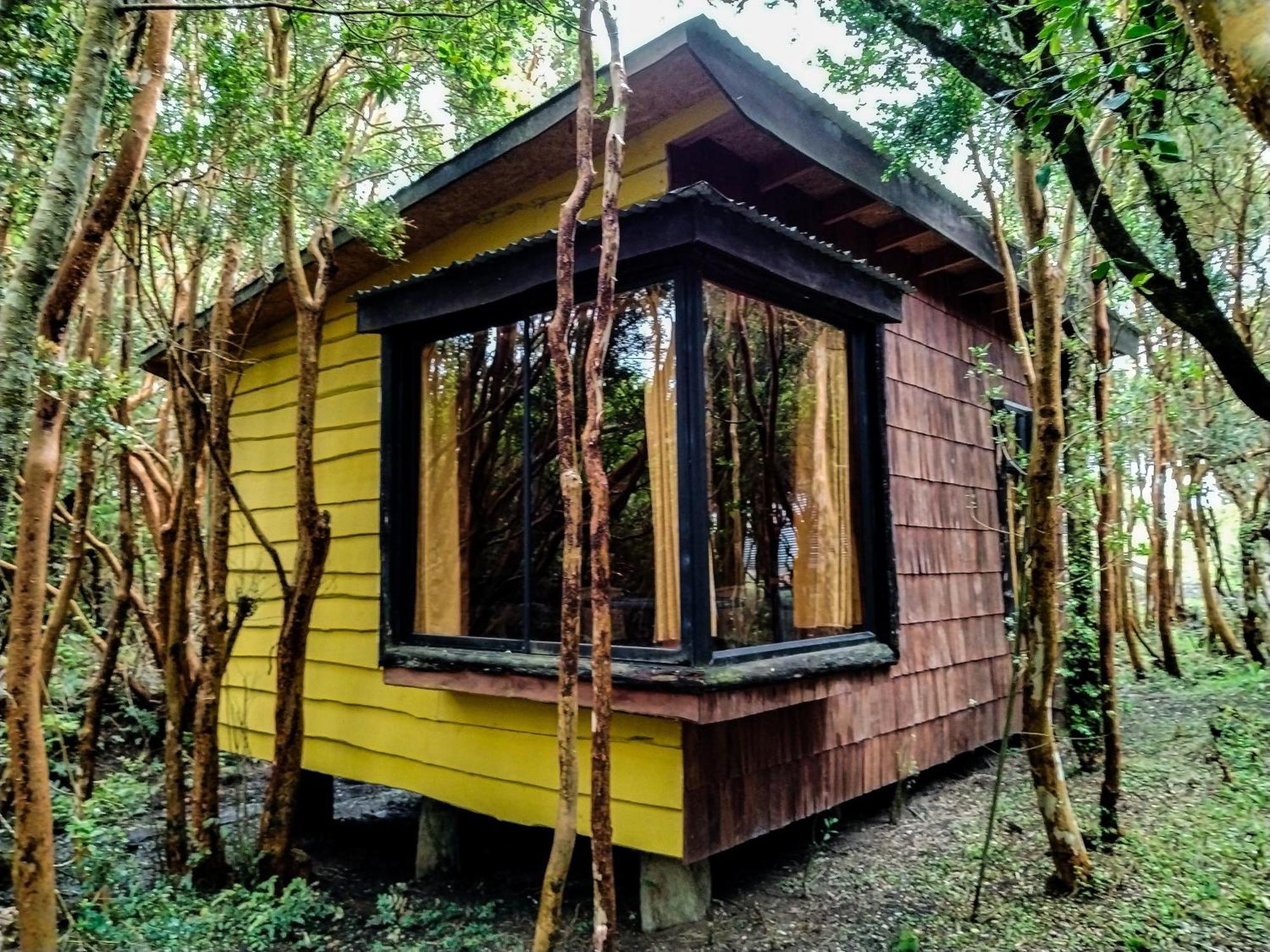 Hostal & Cabanas Luna Del Sur Cucao エクステリア 写真