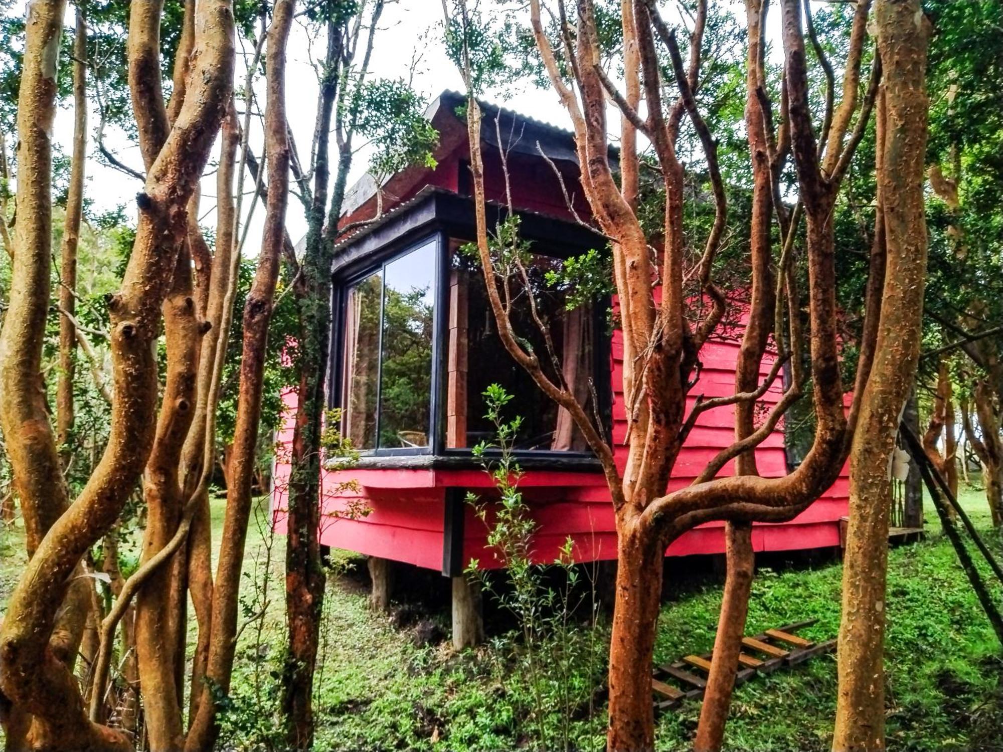 Hostal & Cabanas Luna Del Sur Cucao エクステリア 写真